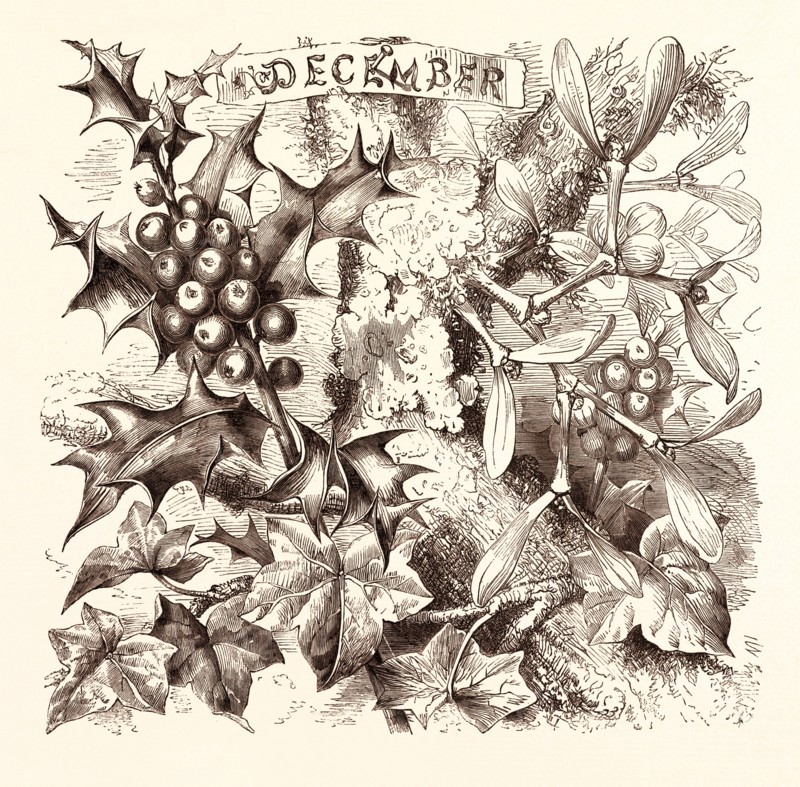 DECEMBER, calendar, year, month, monthly