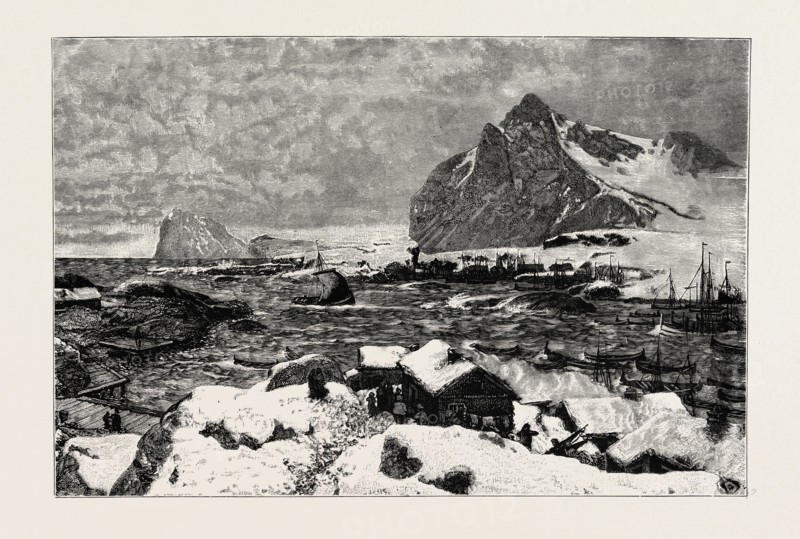 A LOFOTEN VILLAGE DURING THE FISHING SEASON. Lofoten is an archipelago and a traditional district in the county of Nordland, Norway.