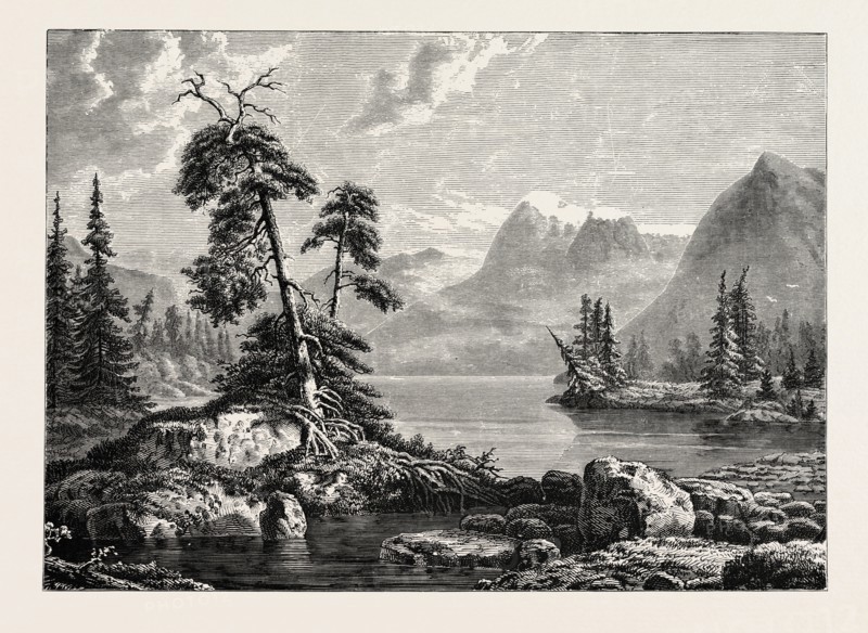 A VIEW ON THE HARDANGER FJORD. Hardangerfjord in the county of Hordaland in Norway is the third largest fjord in the world and the second largest in Norway.