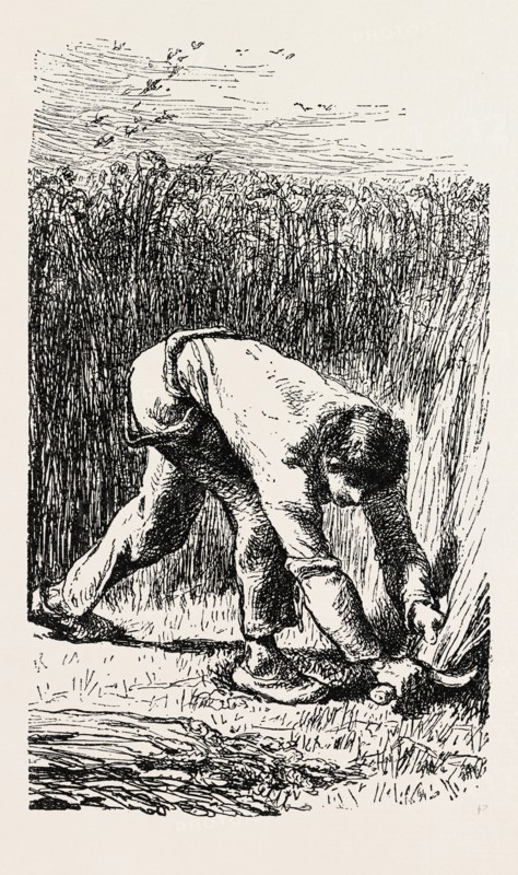 Reaping, Le Scieur de Ble