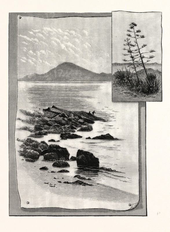 Camp Bay. Apes' Hill, Africa, in the distance
