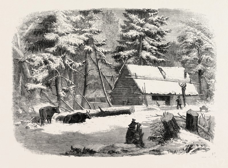 LUMBERING IN NEW BRUNSWICK, LUMBERMAN'S CAMP HOUSE, 1858