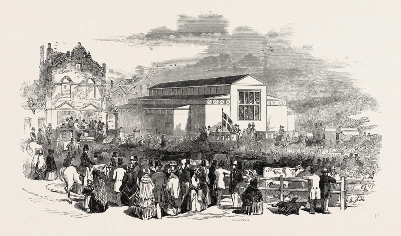 GREAT MEETING OF THE ROYAL AGRICULTURAL SOCIETY AT NEWCASTLE: THE GREAT PAVILION AND CATTLE SHOW, UK, 1846