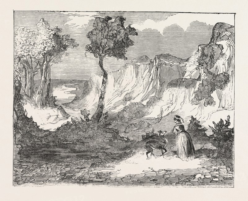 CHRISTMAS PANTOMIMES: LYCEUM. SCENE FROM THE "PRINCE OF HAPPY LAND; OR, THE FAWN IN THE FOREST." UK