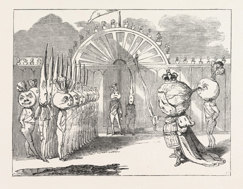 CHRISTMAS PANTOMIMES: SURREY. SCENE FROM THE PANTOMIME OF "THE KING OF THE GOLDEN SEAS; OR, HARLEQUIN BLUE-CAP AND THE THREE KINGDOMS." UK