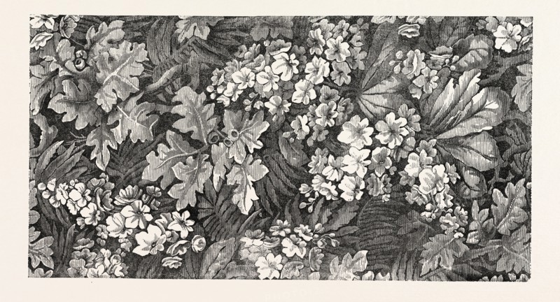 CARPET. BY BRINTON AND SONS KIDDERMINSTER. 1851