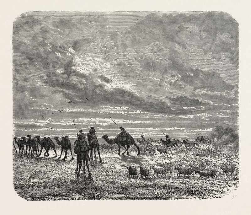 A MONGOL CAMP ON THE MOVE