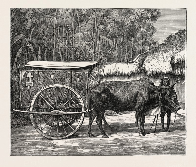 A BULLOCK CARRIAGE IN COCHIN-CHINA.