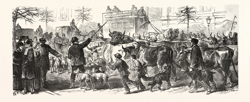 Franco-Prussian War: Flee of the country people with their herds to Paris, France
