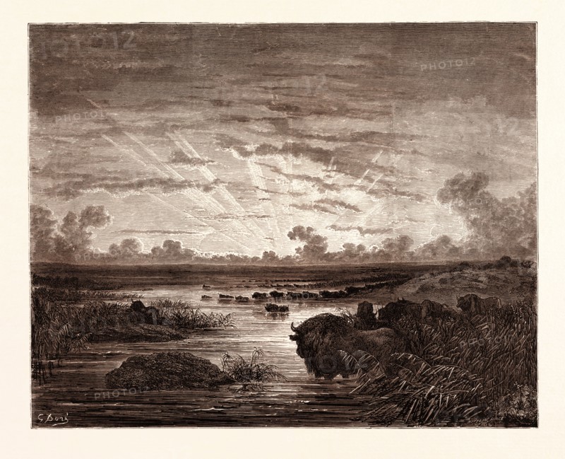 THE MISSISSIPPI SAVANNAHS, BY Gustave Doré.  Dore, 1832 - 1883, French. Engraving for Atala by Chateaubriand. Art, Artist, romanticism, colour, color engraving.