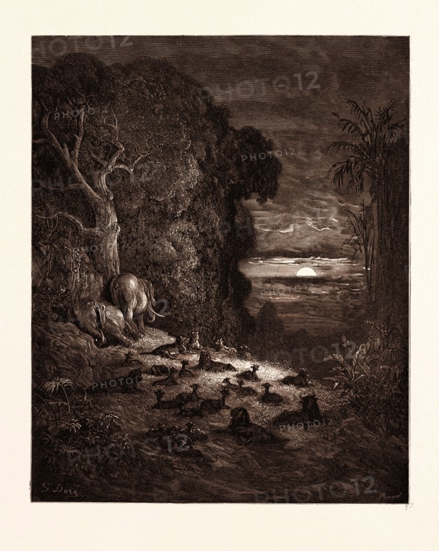 THE SEVENTH EVENING IN EDEN, BY GUSTAVE DORE, 1832 - 1883, French. Engraving for Paradise Lost by Milton. Wood engraving by Antoine Alphee Piaud after Gustave Dore, with signatures in the print. 1870, Romanticism, Art, Artist, romanticism, colour, color engraving