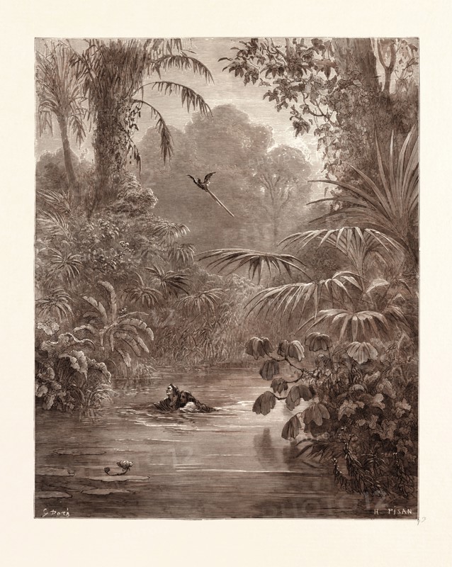 ATALA AND CHACTAS CROSSING A RIVER, BY GUSTAVE DORE, 1832 - 1883, French. Engraving for Atala by Chateaubriand. Wood engraving by Heliodore Joseph Pisan after Gustave Dore, with signatures in the print, 1870, Art, Artist, romanticism, colour, color engraving