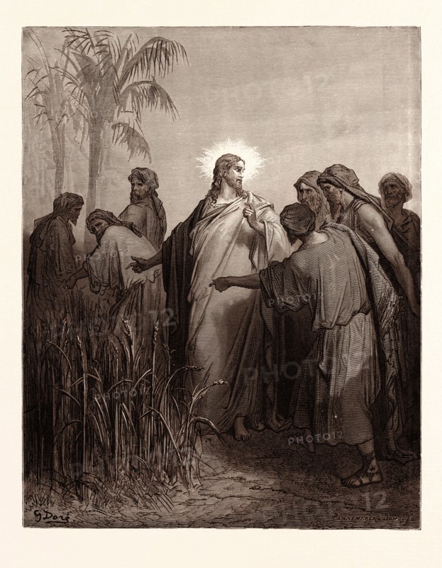 JESUS AND HIS DISCIPLES IN THE CORN FIELD, BY Gustave Doré. Gustave Dore, 1832 - 1883, French. Engraving for the Bible. 1870, Art, Artist, holy book, religion, religious, christianity, christian, romanticism, colour, color engraving