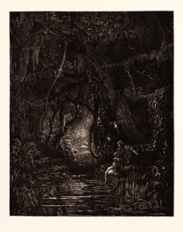 THE DEEP MID-FOREST, BY Gustave Doré. Gustave Dore, 1832 - 1883, French. Engraving for Atala by Chateaubriand. 1870, Art, Artist, romanticism, colour, color engraving