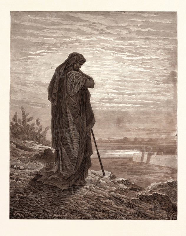 AMOS THE PROPHET, BY Gustave Doré. Dore, 1832 - 1883, French. Engraving for the Bible. 1870, Art, Artist, holy book, religion, religious, christianity, christian, romanticism, colour, color engraving.