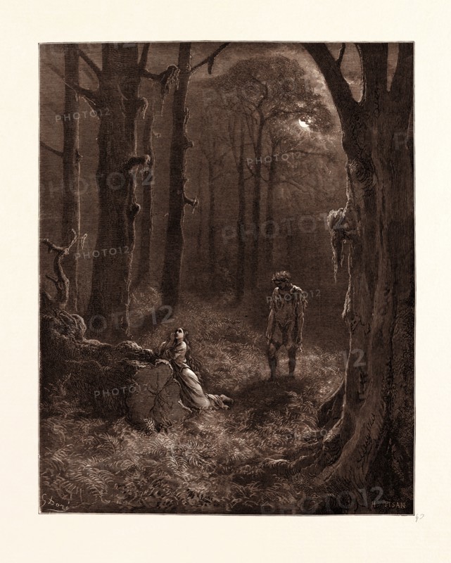 THE LOVERS IN THE MOON-LIT FOREST, BY GUSTAVE DORE. Dore, 1832 - 1883, French. Engraving for Atala by Chateaubriand. 1870, Art, Artist, romanticism, colour, color engraving.