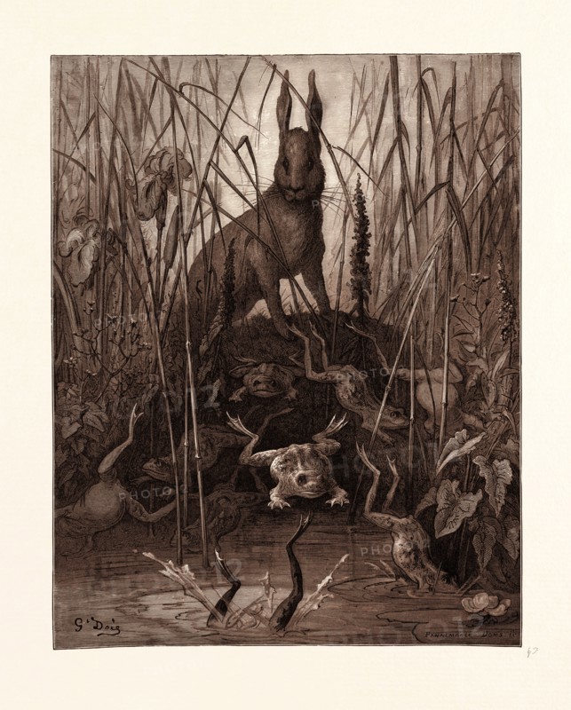 THE HARE AND THE FROGS, BY GUSTAVE DORE,  1832 - 1883, French. Engraving for Fables by Jean de la Fontaine. engraved by Adolphe Francois Pannemaker, Belgian, 1822-19001870, Art, Artist, romanticism, colour, color engraving. fable, fairy tale