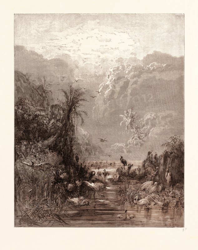 THE CREATION OF BIRDS, BY GUSTAVE DORE