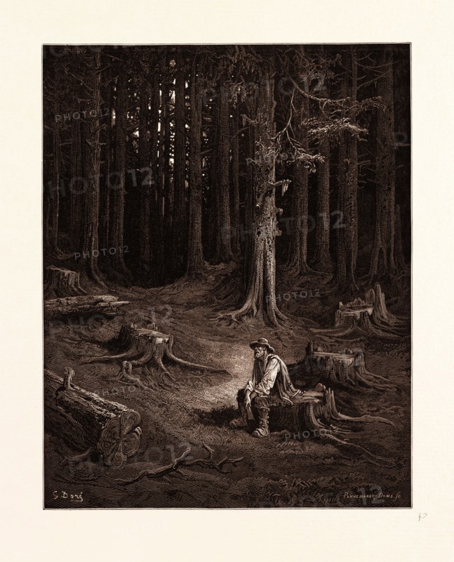 THE FOREST AND THE WOODMAN, BY GUSTAVE DORE