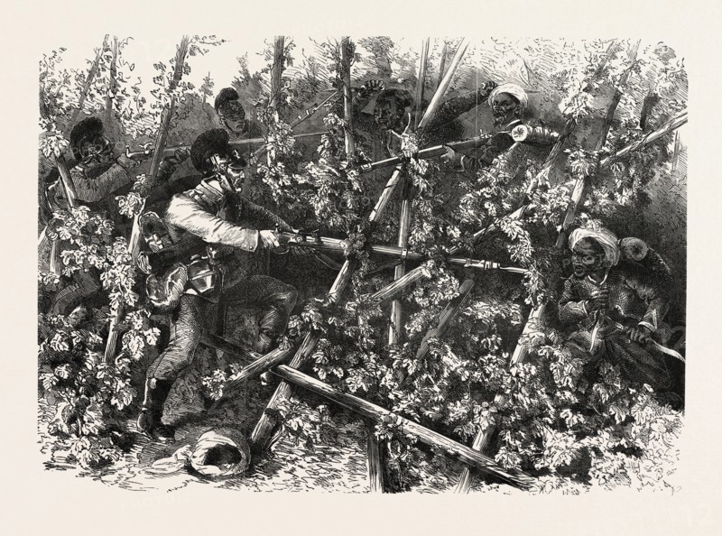 FRANCO-PRUSSIAN WAR: FIGHT BETWEEN THE BAVARIAN INFANTRY, THE TURCOS AND THE ZOUAVES, IN THE  HOP FIELDS NEAR WISSEMBOURG THE 4 August 1870
