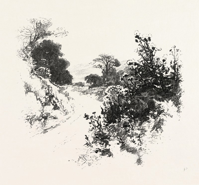 A ROADSIDE SKETCH, CANADA, NINETEENTH CENTURY ENGRAVING