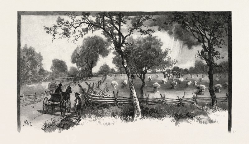 WHERE TECUMSEH STOOD AT BAY, CANADA, NINETEENTH CENTURY ENGRAVING