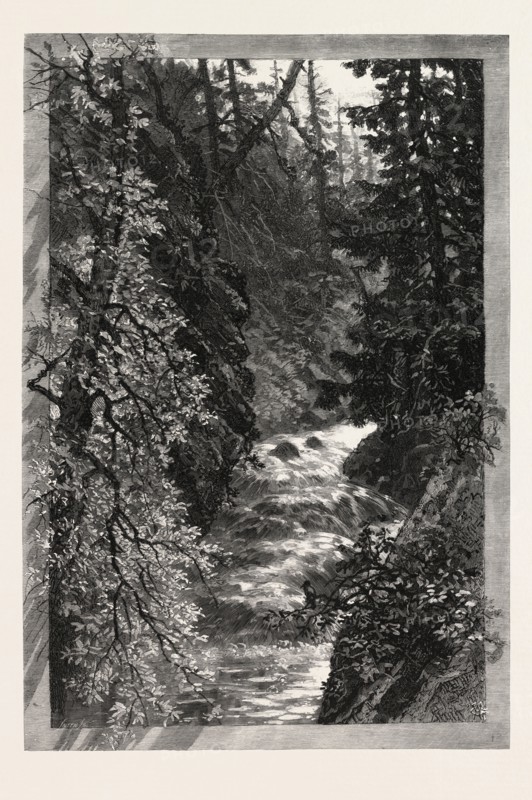 A TROUT POOL ON THE SAUGEEN, CANADA, NINETEENTH CENTURY ENGRAVING