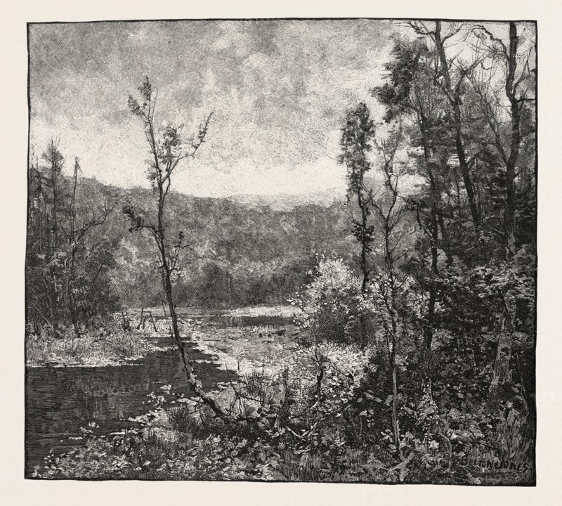 AMONG THE MOUNTAINS NEAR OWEN SOUND, CANADA, NINETEENTH CENTURY ENGRAVING