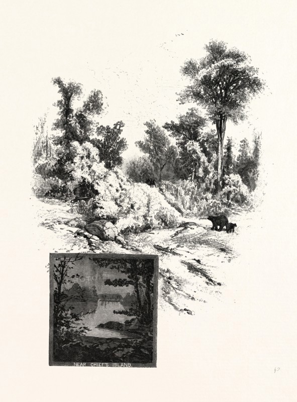 GEORGIAN BAY AND THE MUSKOKA LAKES, STAGE ROAD, ROSSEAU TO PARRY SOUND MUSKOKA SCENERY, CANADA, NINETEENTH CENTURY ENGRAVING
