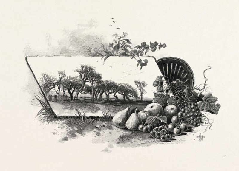 CENTRAL ONTARIO, CANADA, NINETEENTH CENTURY ENGRAVING