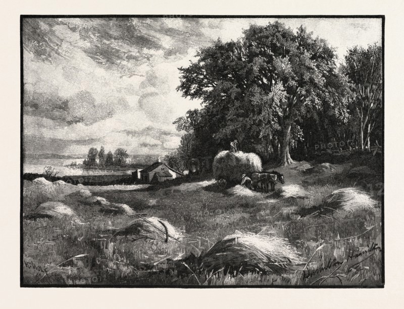 BARLEY HARVEST, CANADA, NINETEENTH CENTURY ENGRAVING