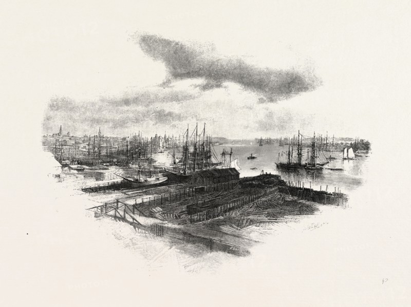 NEW BRUNSWICK, ST. JOHN, FROM PORTLAND, CANADA, NINETEENTH CENTURY ENGRAVING