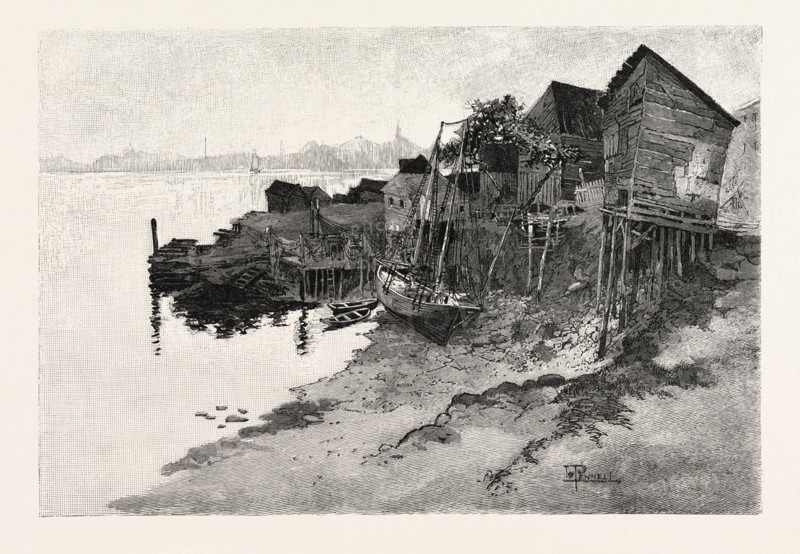 NEW BRUNSWICK, ST. JOHN, BACK OF HARBOUR, LOW TIDE, CANADA, NINETEENTH CENTURY ENGRAVING