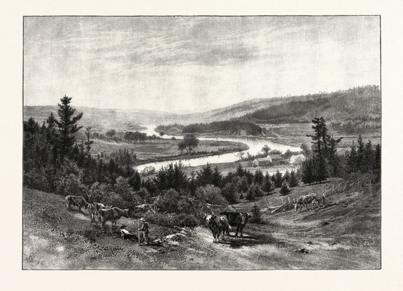 JUNCTION OF THE NASHWAAK AND TAY, CANADA, NINETEENTH CENTURY ENGRAVING