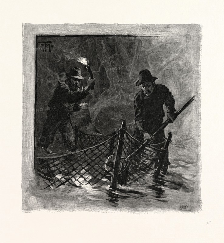 NEW BRUNSWICK, EMPTYING SALMON NETS BY TORCHLIGHT, CANADA, NINETEENTH CENTURY ENGRAVING