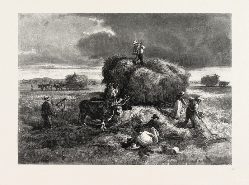 NOVA SCOTIA, ON THE TANTRAMAR MARSHES, CANADA, NINETEENTH CENTURY ENGRAVING