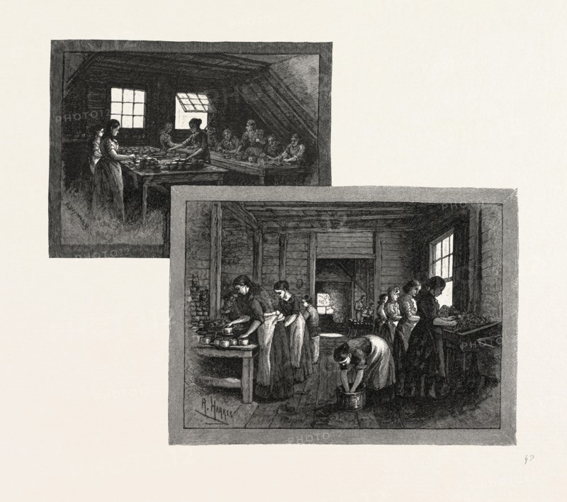 PRINCE EDWARD ISLAND, LOBSTER CANNING, CANADA, NINETEENTH CENTURY ENGRAVING