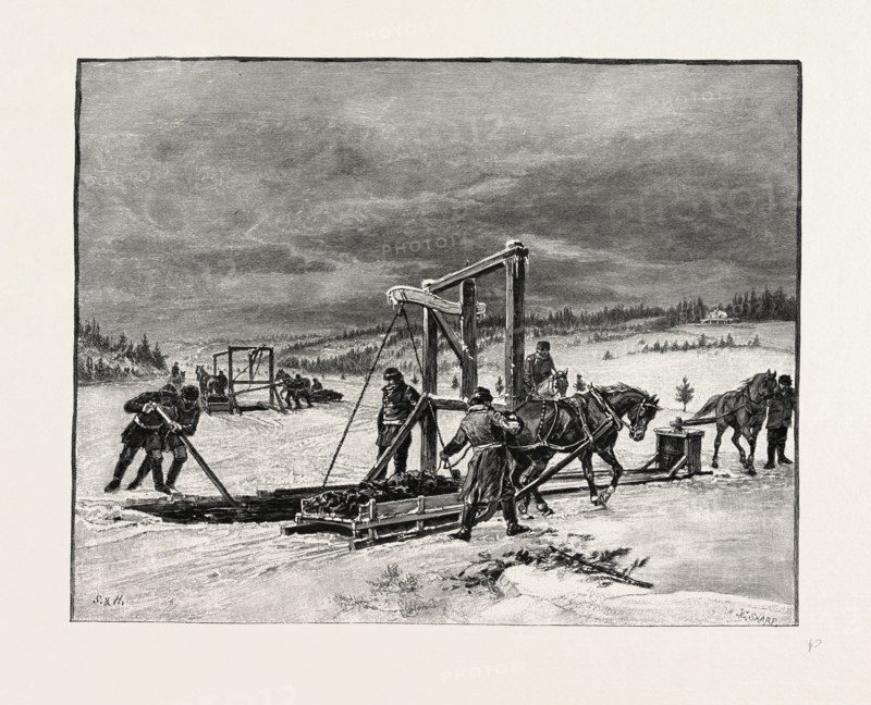 PRINCE EDWARD ISLAND, DIGGING MUSSEL MUD, CANADA, NINETEENTH CENTURY ENGRAVING