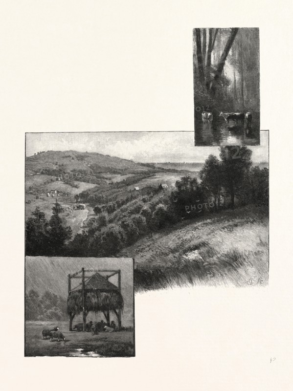 PRINCE EDWARD ISLAND, PASTORAL SCENES, CANADA, NINETEENTH CENTURY ENGRAVING