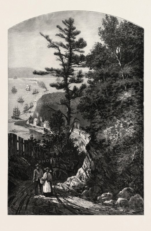 WOLFE'S COVE., CANADA, NINETEENTH CENTURY ENGRAVING