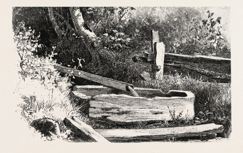 FRENCH CANADIAN LIFE, WAYSIDE WATERING TROUGH, CANADA, NINETEENTH CENTURY ENGRAVING