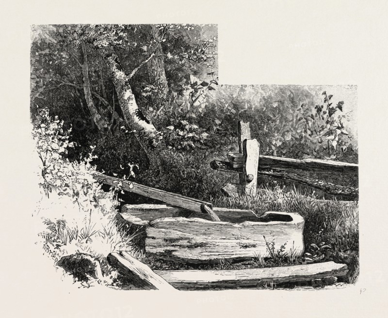 FRENCH CANADIAN LIFE,, WAYSIDE WATERING TROUGH, CANADA, NINETEENTH CENTURY ENGRAVING