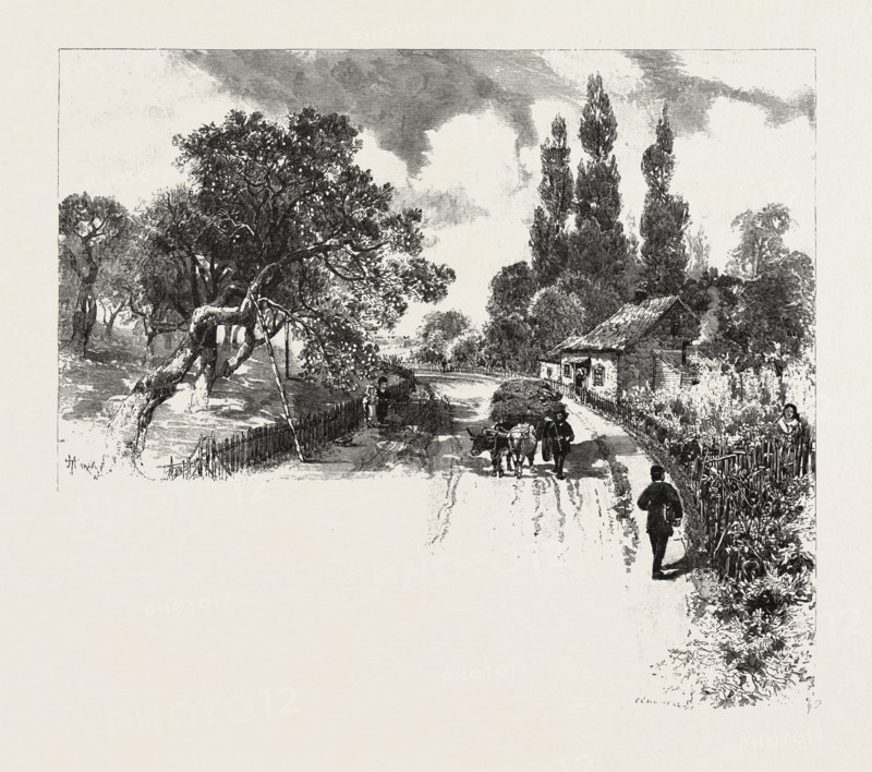 FRENCH CANADIAN LIFE, AN OLD ORCHARD, CANADA, NINETEENTH CENTURY ENGRAVING