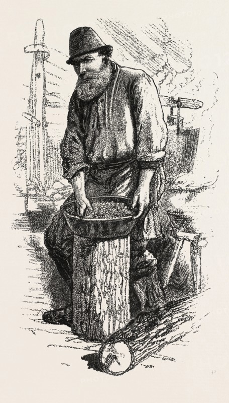Men of the Bush, the cook, Sketches from life, by Frank H. Schell, CANADA, NINETEENTH CENTURY ENGRAVING