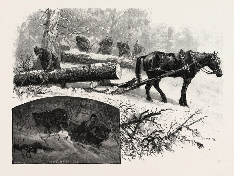 MARKING LOGS AT SKIDWAY, LUMBERING, CANADA, NINETEENTH CENTURY ENGRAVING