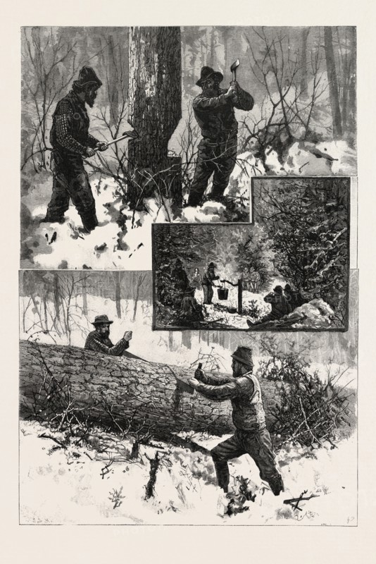 CHOPPING AND SAWING, LUMBERING, CANADA, NINETEENTH CENTURY ENGRAVING