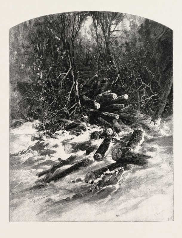 THE ROLLWAY, LUMBERING, CANADA, NINETEENTH CENTURY ENGRAVING