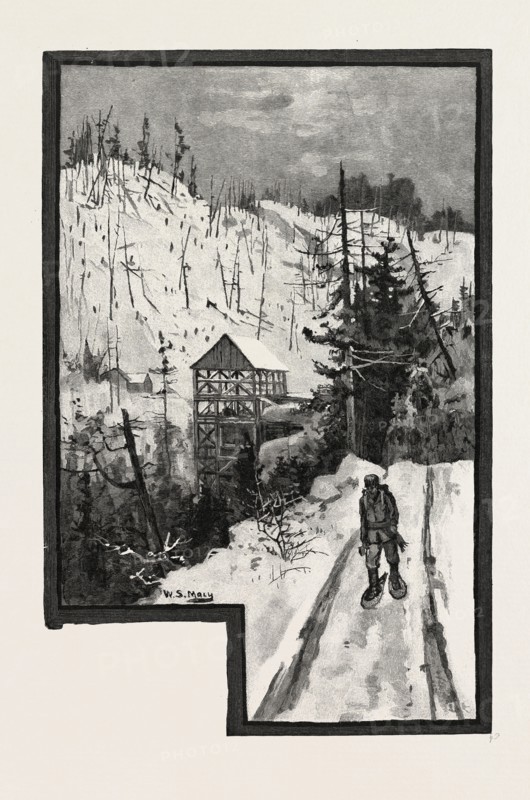A SAWMILL IN THE BACKWOODS. Forestry, lumbermill, lumbermills, mill, mills, natural resource, natural resources, resource, resources, LUMBERING, CANADA, NINETEENTH CENTURY ENGRAVING