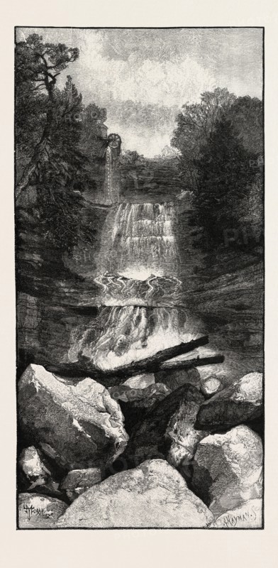 RAVINE NEAR WHIRLPOOL, CANADA, NINETEENTH CENTURY ENGRAVING