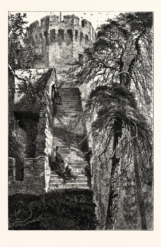 GUY'S TOWER AND THE WALLS OF WARWICK CASTLE, UK, britain, british, europe, united kingdom, great britain, european